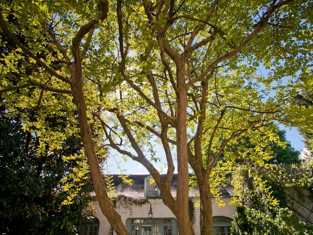 La Maison Jules Tours Kültér fotó